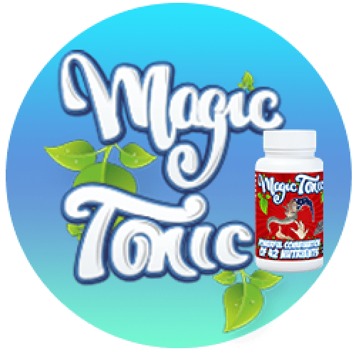 Magic Tonic