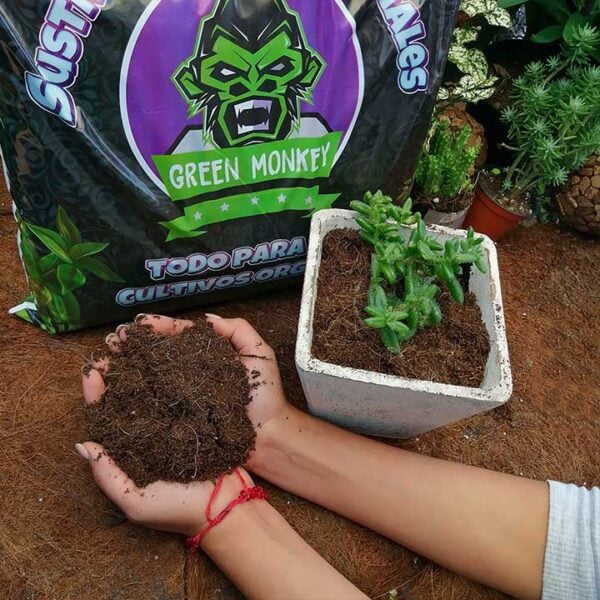 Fibra de Coco - Imagen 2